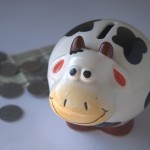 piggy-bank-390528_1920