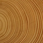 Le bois, matériau d’histoire et d’avenir