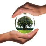 La Fondation de France s’engage pour l’environnement