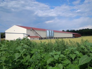 charpente-couverture-bardage (1)